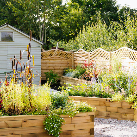 Effortless Oasis: Low Maintenance Garden Ideas for Busy Homeowners