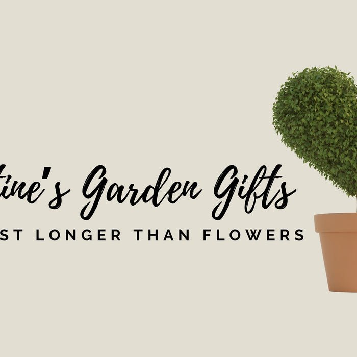 Thoughtful Valentine’s Garden Gifts That Last Longer Than Flowers