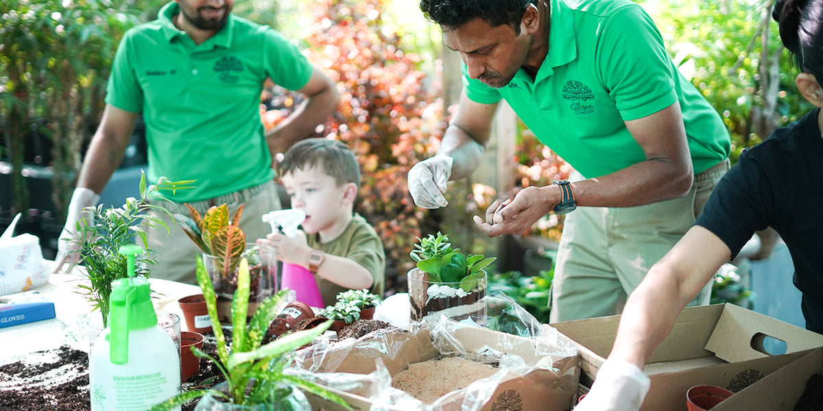 Greening up our Saturday morning with terrarium making — The