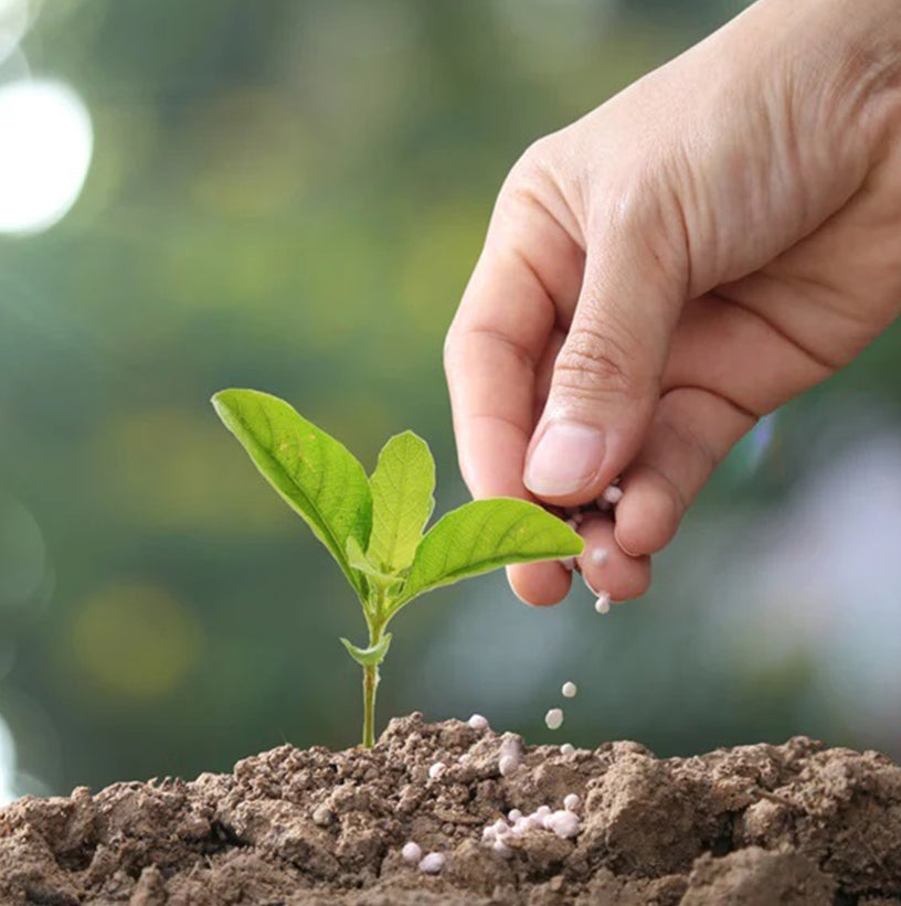 Find The Best Plant Fertilizer Buy Plant Fertilizer In Dubai The find-the-best-plant-fertilizer-buy-plant-fertilizer-in-dubai-the