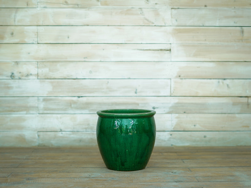 Glorious Belly Pot with Rim - Green