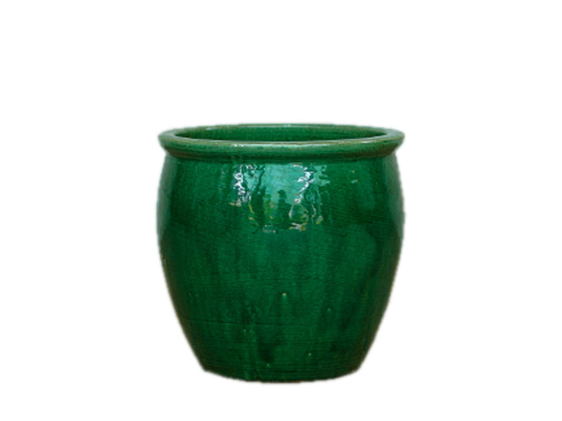 Glorious Belly Pot with Rim - Green D65 X H49