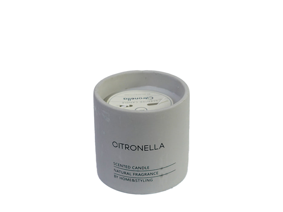 KP Potted Citronella Natural D12cm