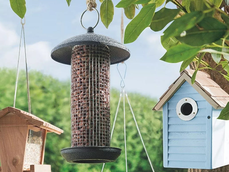 Black Steel Large Peanut Feeder