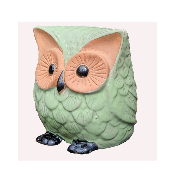 Glazed Owl