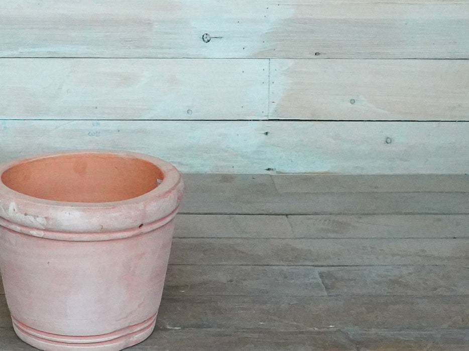 Rim Terracotta Pot