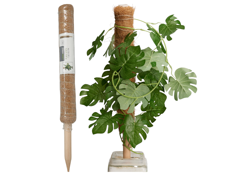 Plant stick 'coconut' H50cm