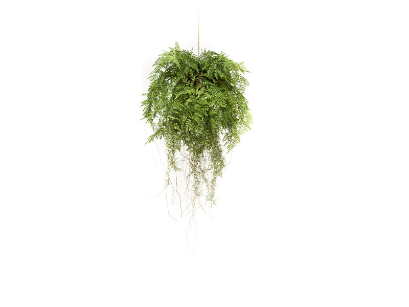 Artificial Fern Hanging Decoration