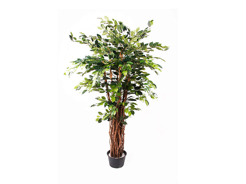 Artificial Ficus Benjamina Liana Deluxe