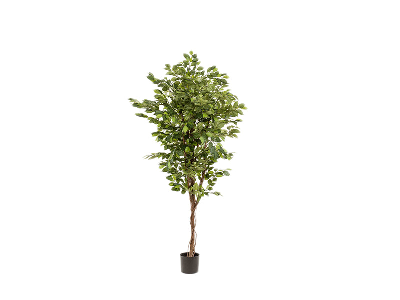 Artificial Ficus Deluxe Vine Tree