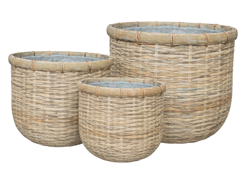 Bamboo egg pot 33xH31