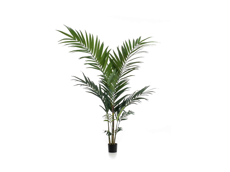 Artificial Kentia Palm