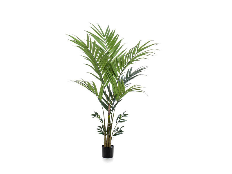 Artificial Kentia Palm