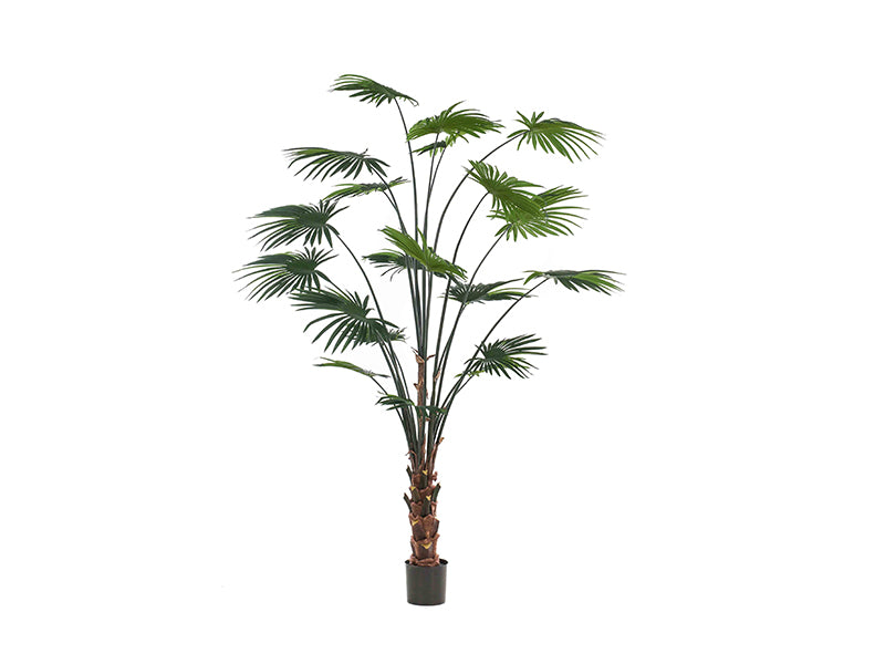Artificial Palm Livistona