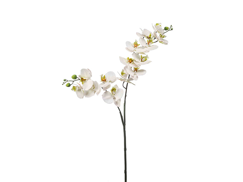 Artificial Phalaenopsis Flower Spray - White/Green