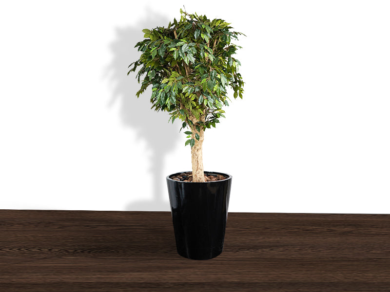 Artificial Ficus Benjamina 'Tronco Jamaica'