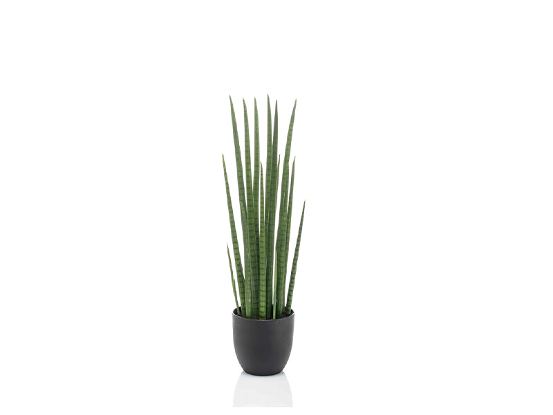 Artificial Sansevieria Cylindrical
