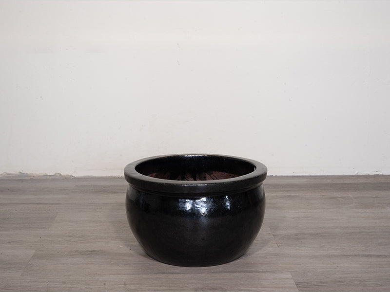 Bubble Collar Ceramic Pot - Glossy Black