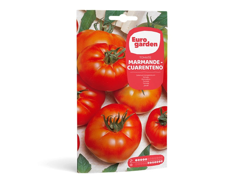 Tomato Marmande Seed
